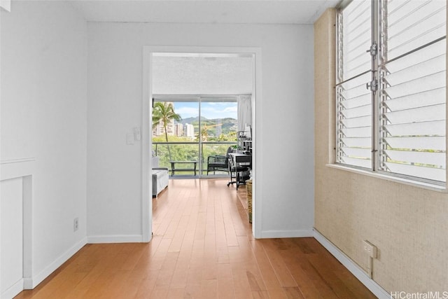 hallway featuring hardwood / wood-style floors