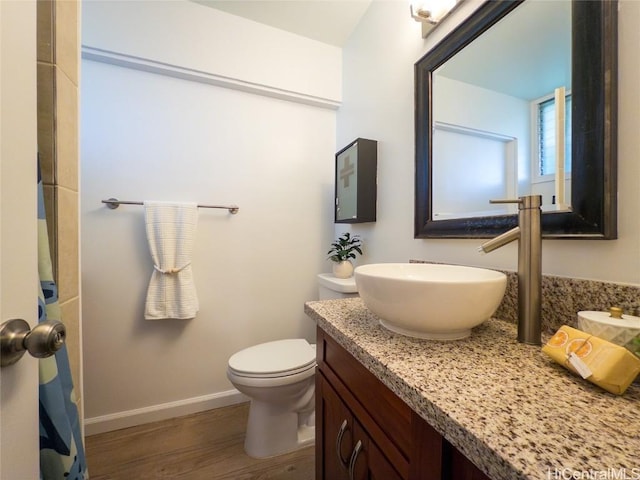 bathroom featuring vanity, wood-type flooring, and toilet