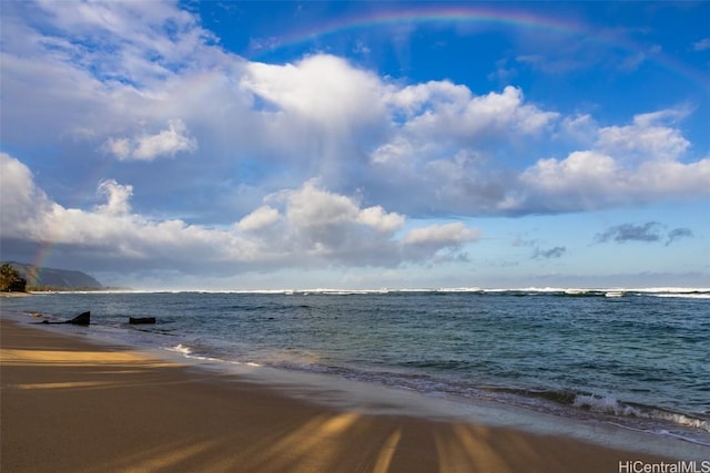 water view featuring a beach view