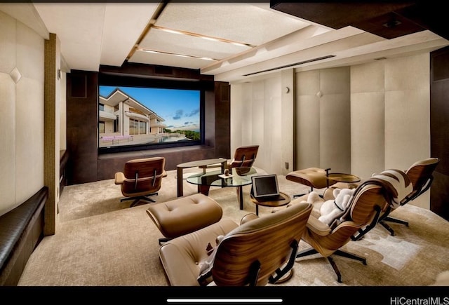 view of carpeted cinema room