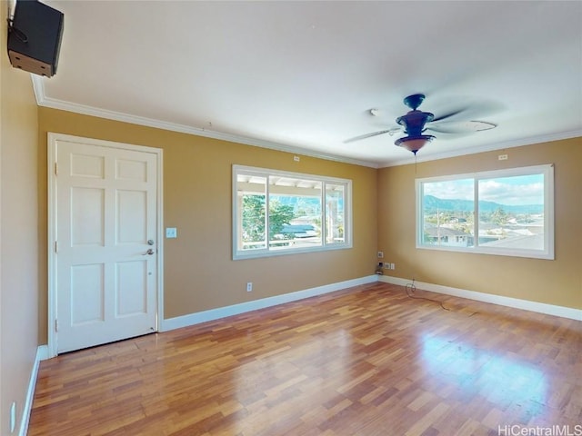 empty room featuring plenty of natural light and ornamental molding