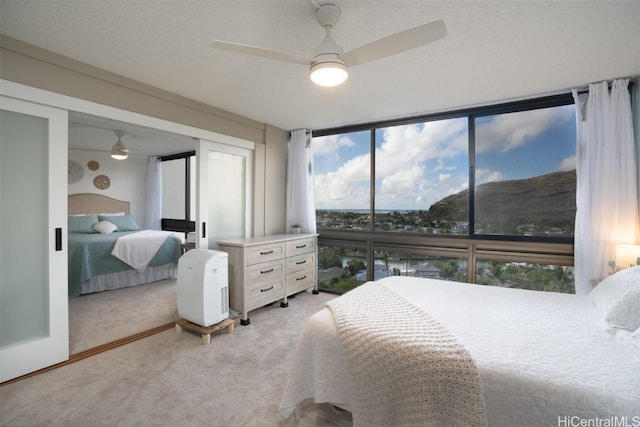 carpeted bedroom with multiple windows, ceiling fan, and expansive windows