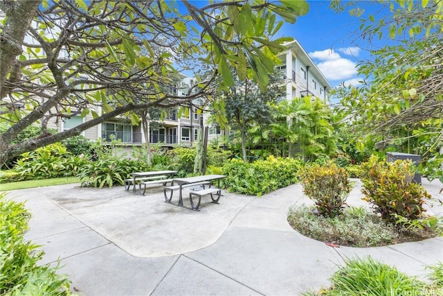 view of community with a patio area