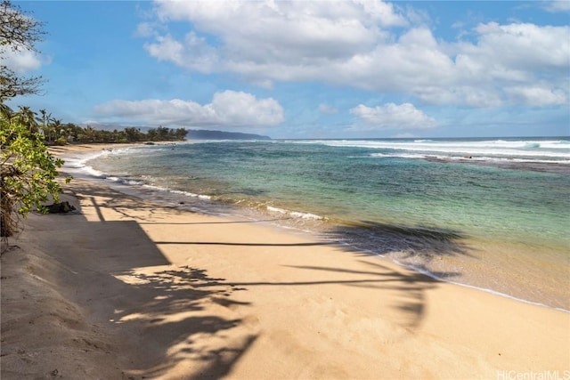 water view featuring a beach view