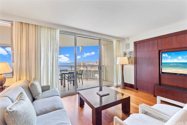 living room featuring light hardwood / wood-style floors and floor to ceiling windows