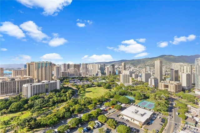 birds eye view of property with a mountain view