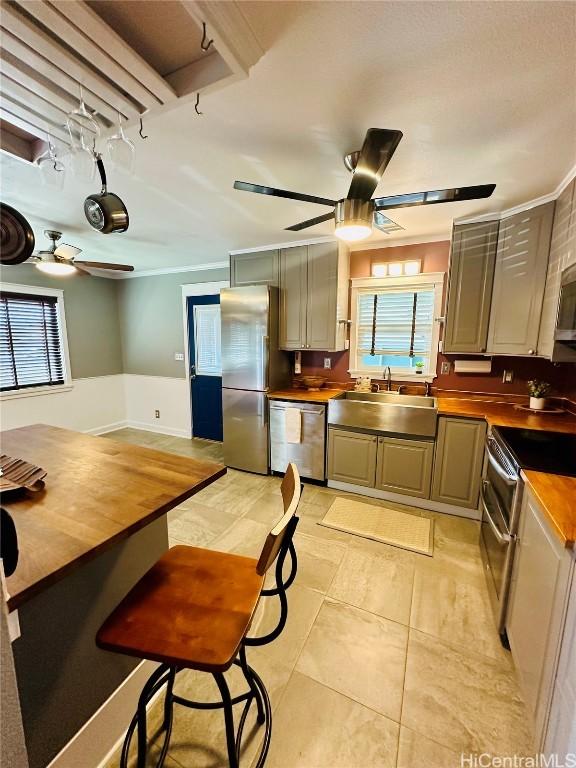 kitchen featuring butcher block counters, sink, a wealth of natural light, ceiling fan, and stainless steel appliances