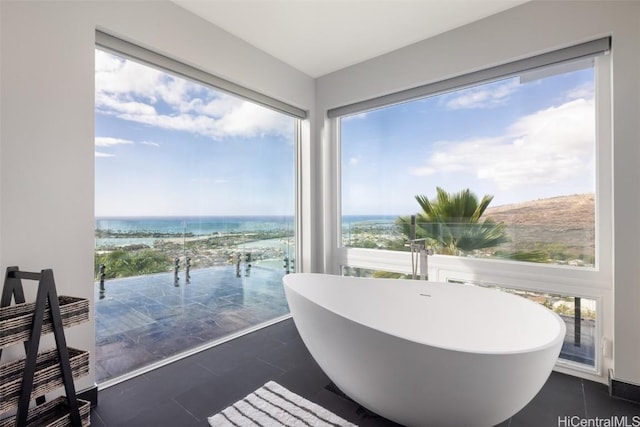 interior space with a tub, a water view, and a wealth of natural light