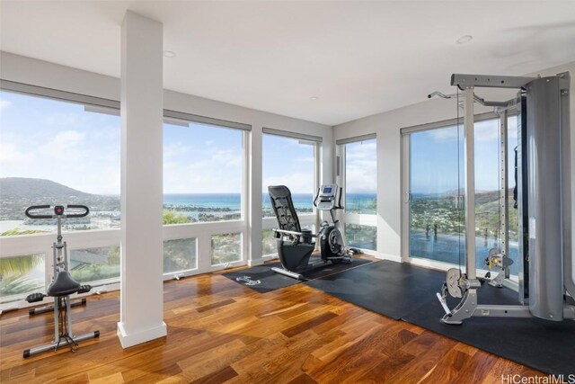 workout room with a water view, hardwood / wood-style flooring, and a healthy amount of sunlight