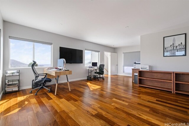 office space featuring hardwood / wood-style flooring and plenty of natural light