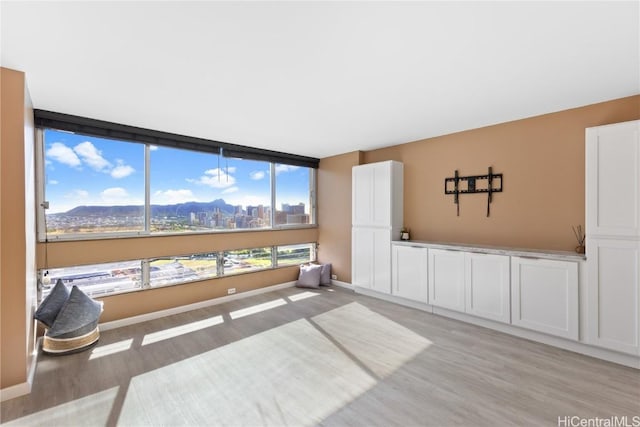 interior space with a mountain view and light hardwood / wood-style flooring