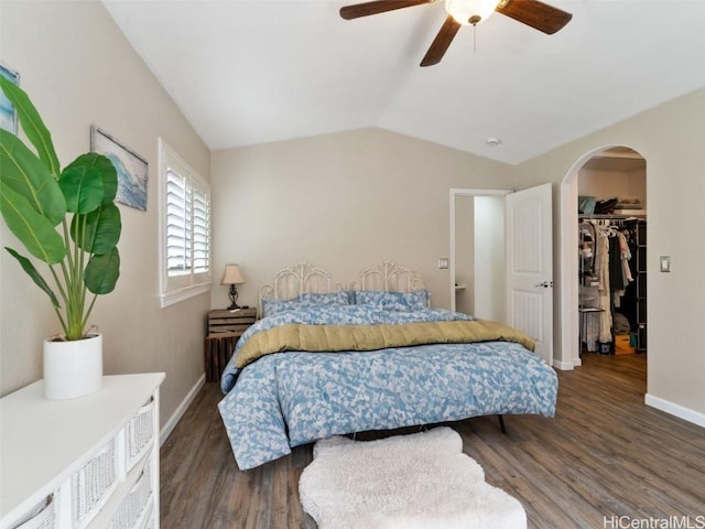 bedroom with a walk in closet, a closet, ceiling fan, and dark hardwood / wood-style floors