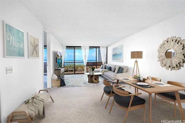 carpeted living room with expansive windows and a textured ceiling