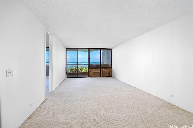 spare room with light colored carpet, a wall of windows, and a textured ceiling