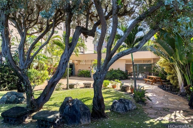 view of yard with a patio area