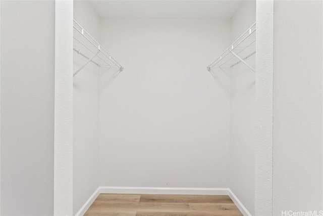 walk in closet with hardwood / wood-style floors