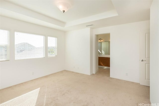 carpeted spare room featuring a raised ceiling