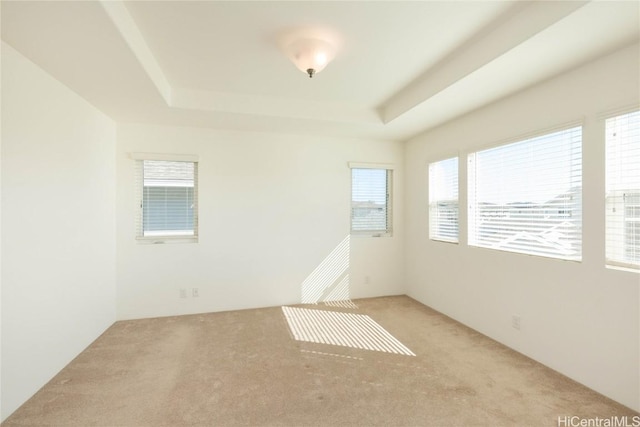 spare room with light carpet and a tray ceiling