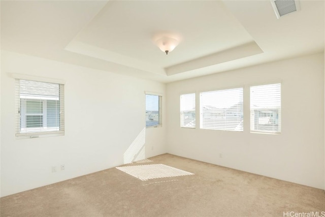 carpeted spare room with a raised ceiling and plenty of natural light