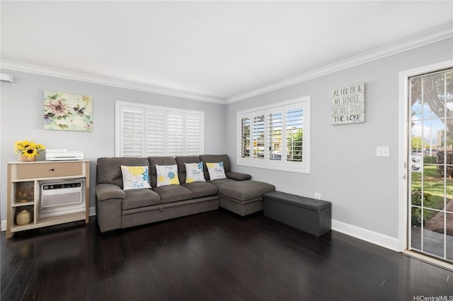 91-1022 Huliau St Unit 1A, Ewa Beach, HI 96706 - living room featuring ornamental molding and dark wood-type flooring