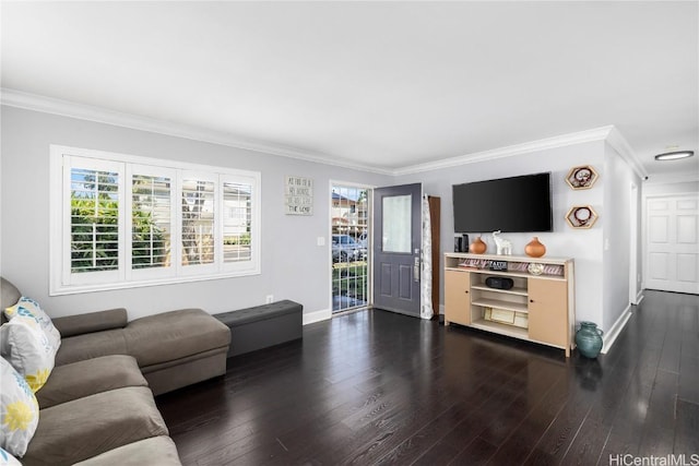 living room featuring dark wood-type flooring and crown molding