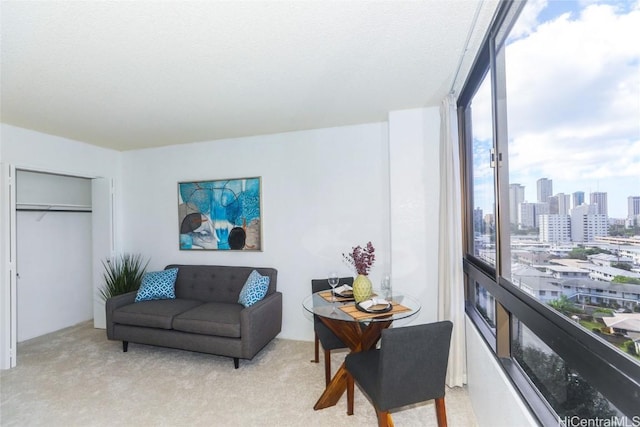 carpeted living room featuring a wealth of natural light