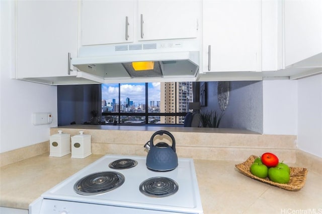 kitchen with stove and white cabinetry