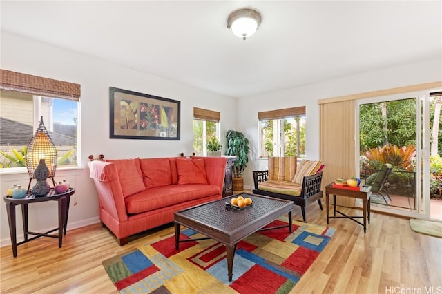 living room with light hardwood / wood-style floors and a wealth of natural light