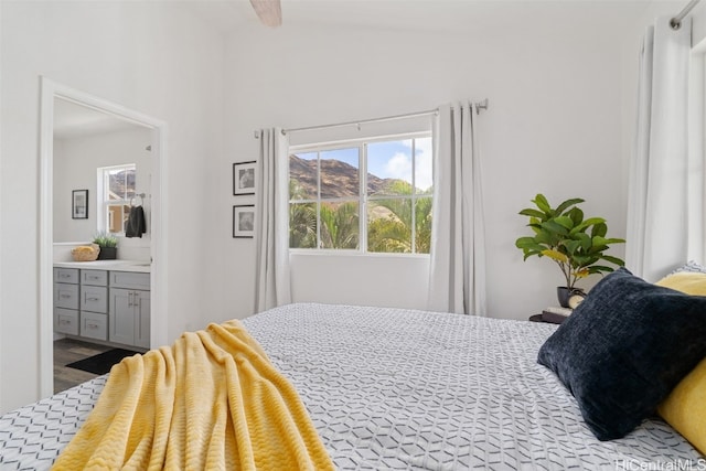 bedroom featuring lofted ceiling and ensuite bathroom