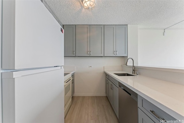 kitchen featuring gray cabinetry, light wood-type flooring, white appliances, and sink