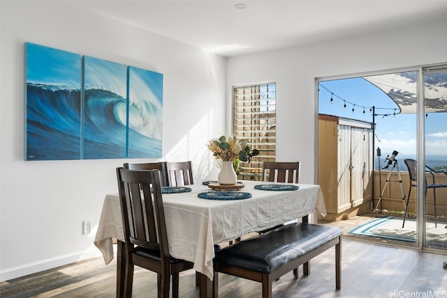 dining area with hardwood / wood-style flooring