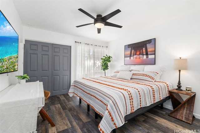 bedroom featuring ceiling fan, dark wood-type flooring, multiple windows, and a closet