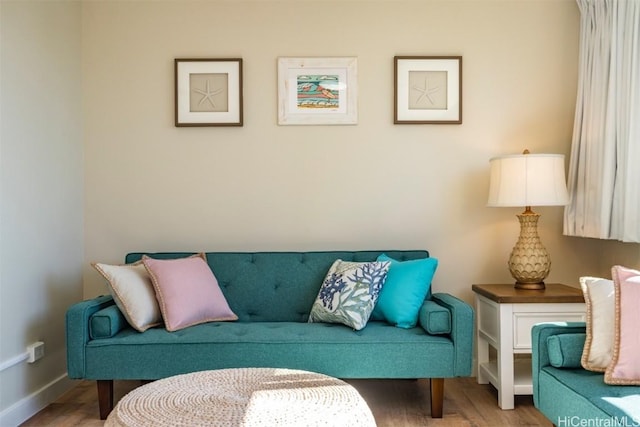 living room with hardwood / wood-style flooring