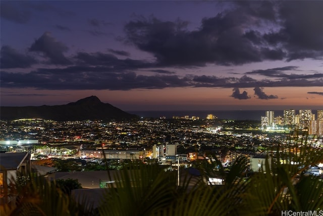 property's view of city featuring a mountain view