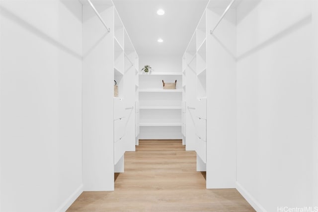 walk in closet with light wood-type flooring