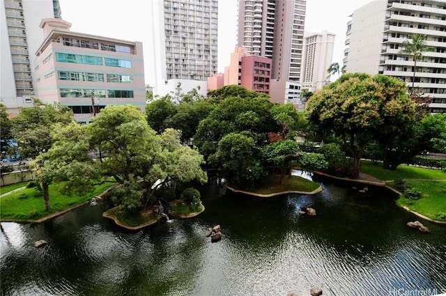 aerial view with a water view