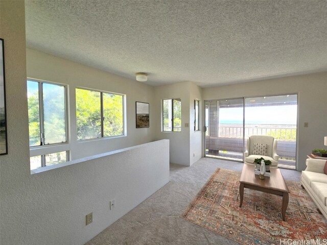 carpeted living room with a textured ceiling