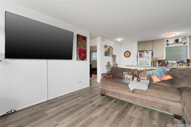 living area featuring light wood finished floors