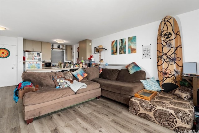 living room with light hardwood / wood-style flooring