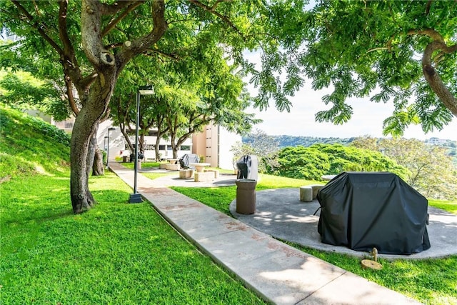 view of community with a patio area and a yard