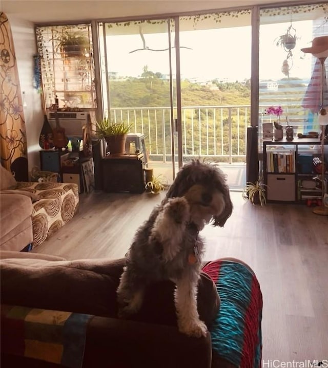 living area featuring wood finished floors