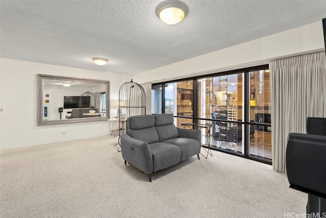 carpeted living room with a textured ceiling