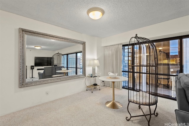 interior space featuring a textured ceiling