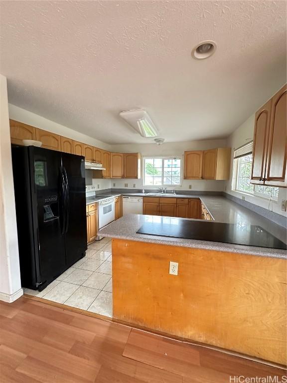 kitchen with a wealth of natural light, sink, white appliances, and light hardwood / wood-style flooring