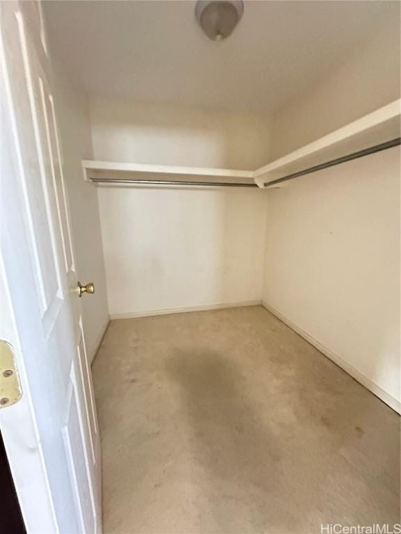 walk in closet with carpet floors