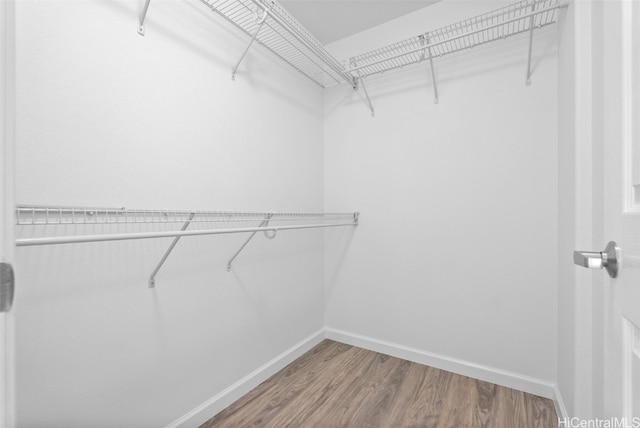 walk in closet with hardwood / wood-style flooring