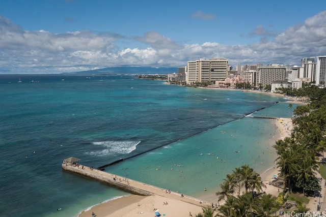 view of water feature featuring a beach view