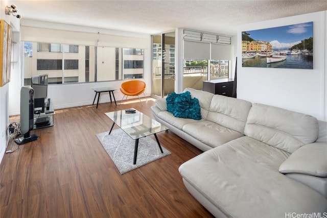 living room featuring wood-type flooring and a textured ceiling