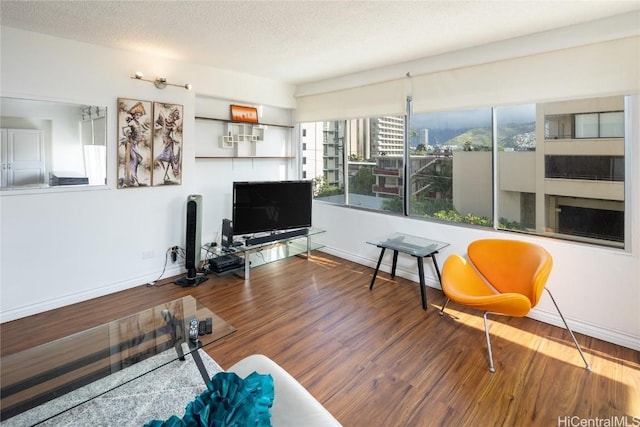 living room featuring wood-type flooring and a textured ceiling