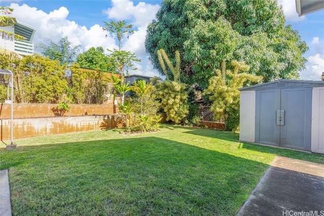 view of yard featuring a shed